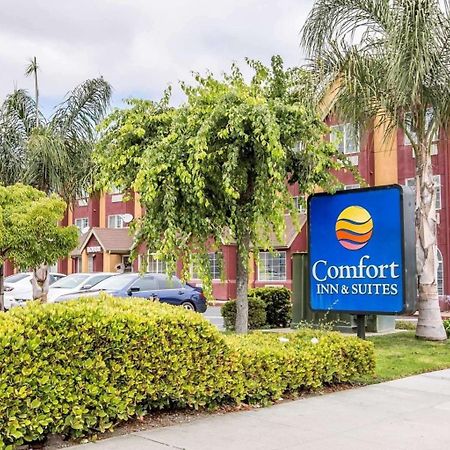 Comfort Inn & Suites סלינס מראה חיצוני תמונה